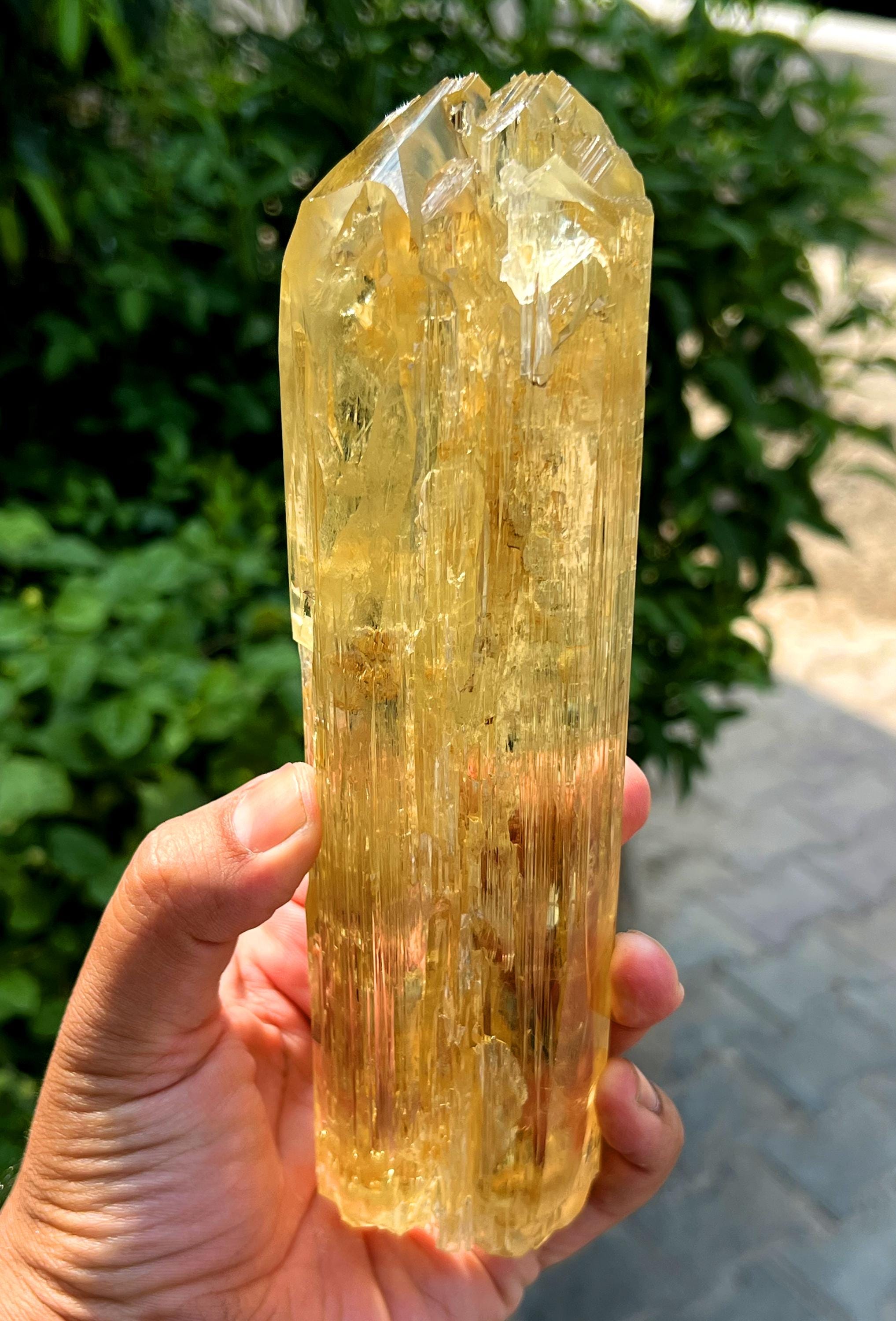 Stunning Yellow Triphane Kunzite Crystal