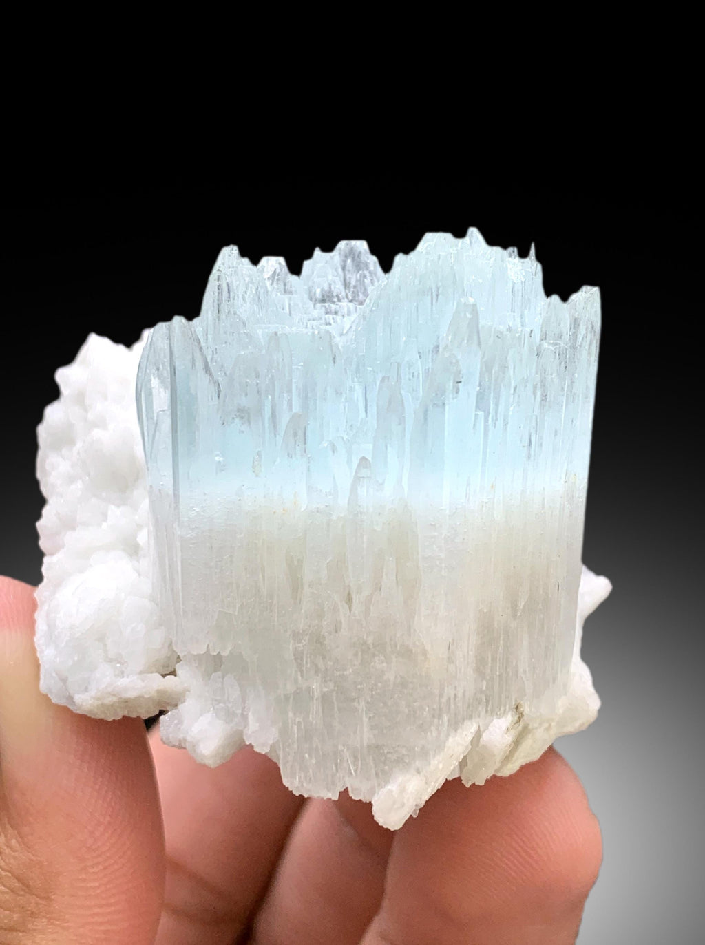Beautiful Bicolor AquaMorganite Crystal