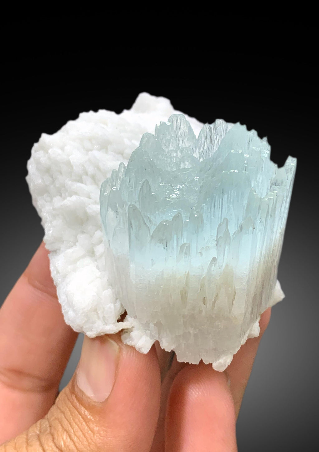 Beautiful Bicolor AquaMorganite Crystal