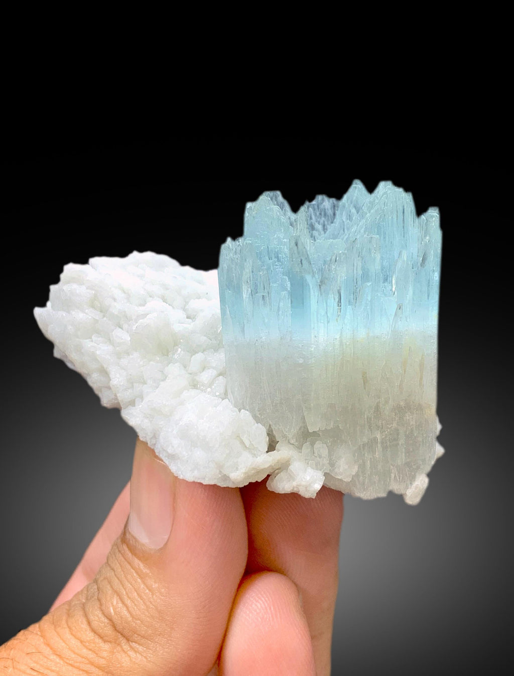Beautiful Bicolor AquaMorganite Crystal