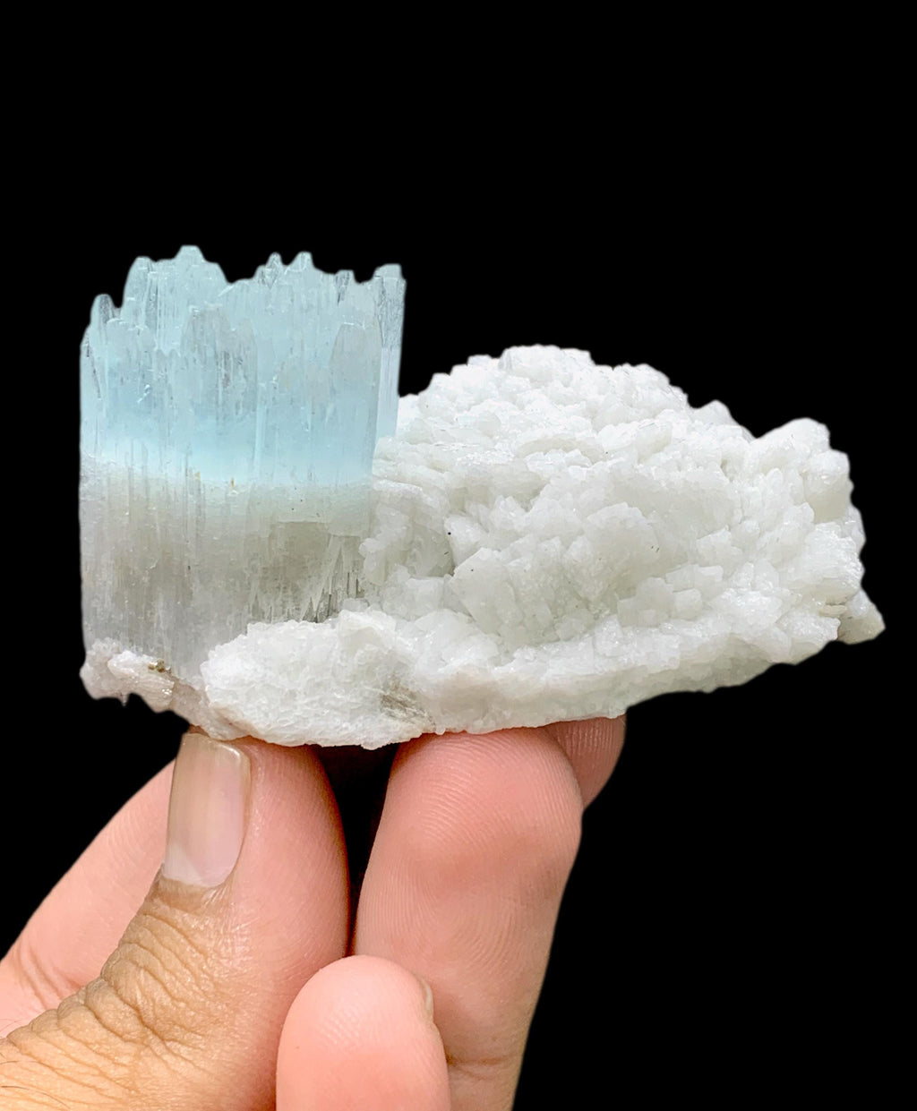 Beautiful Bicolor AquaMorganite Crystal
