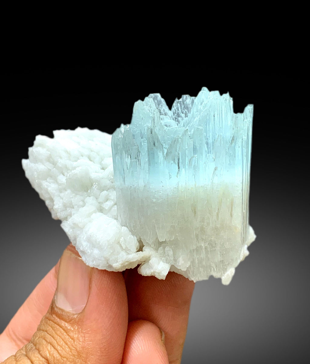 Beautiful Bicolor AquaMorganite Crystal