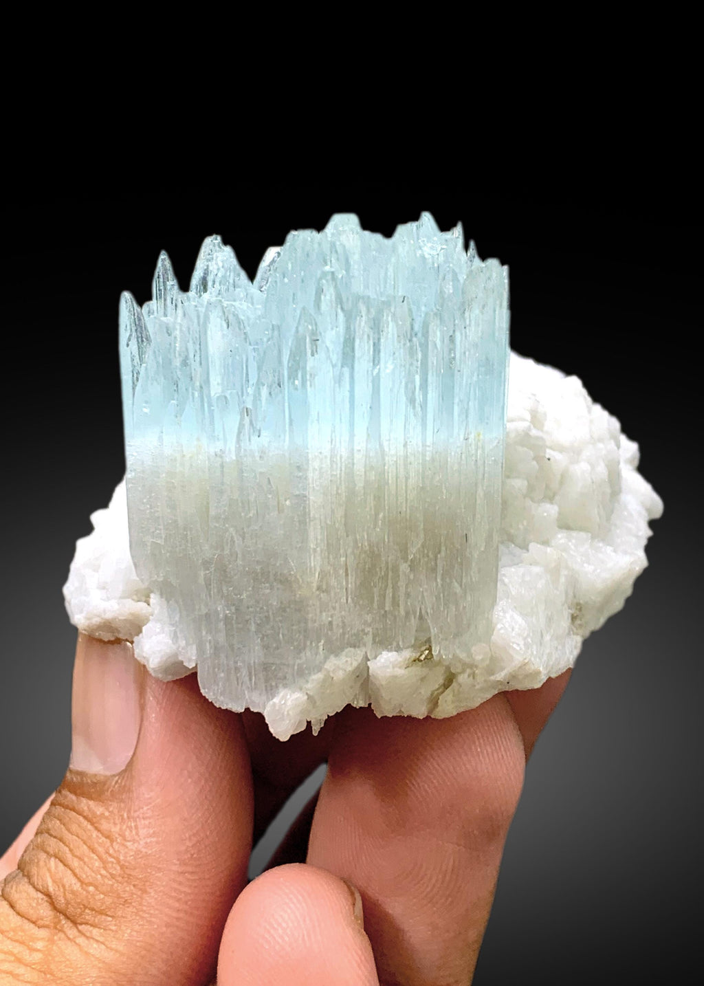 Beautiful Bicolor AquaMorganite Crystal