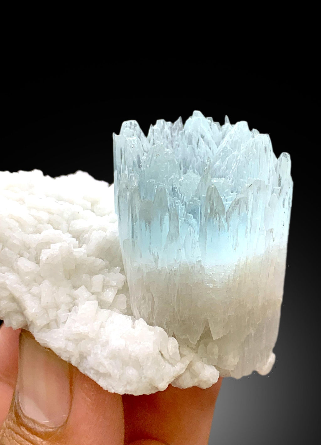 Beautiful Bicolor AquaMorganite Crystal