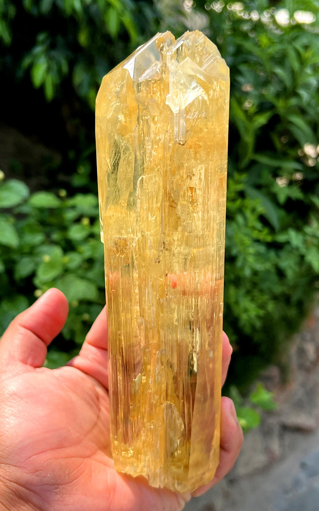 Stunning Yellow Triphane Kunzite Crystal