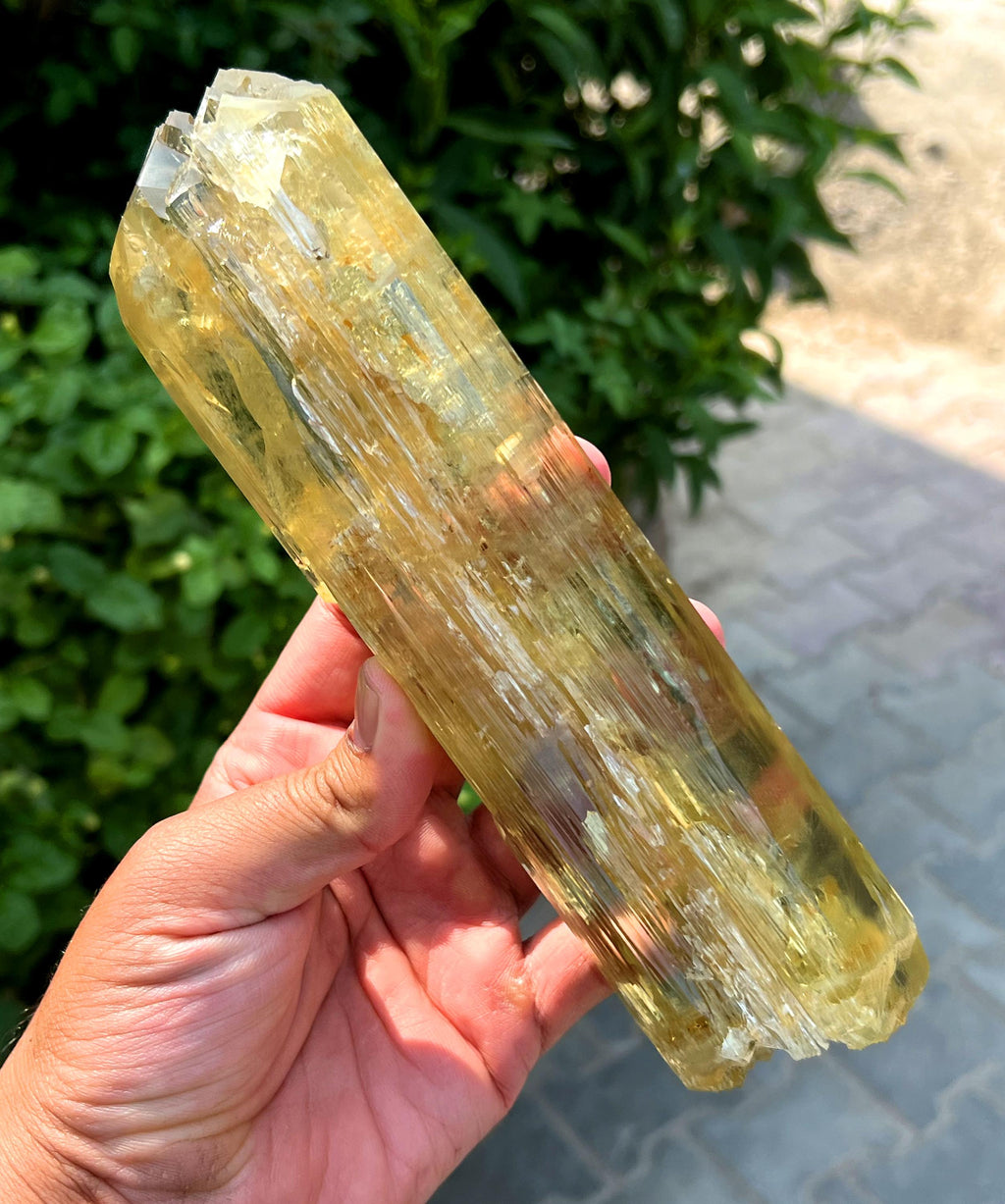 Stunning Yellow Triphane Kunzite Crystal