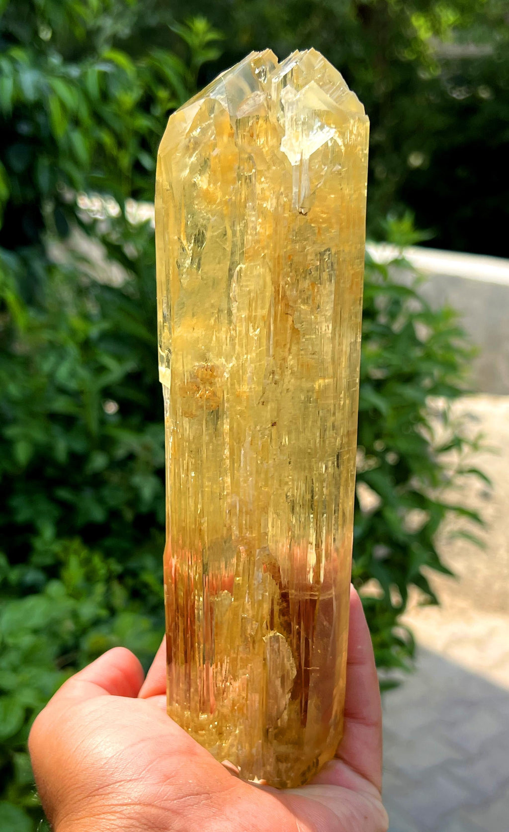 Stunning Yellow Triphane Kunzite Crystal