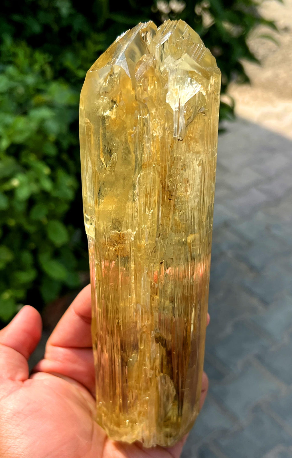 Stunning Yellow Triphane Kunzite Crystal