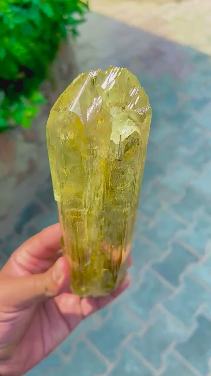 Stunning Yellow Triphane Kunzite Crystal